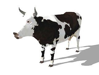 精品动物模型 奶牛